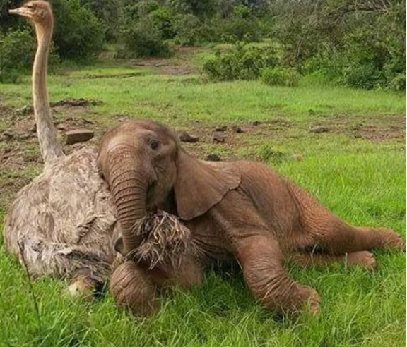 Taka przyjaźń to rzadkość