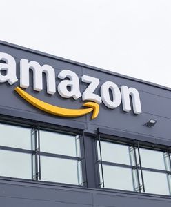 Bielany Wrocławskie: wyrok ws. kradzieży w podwrocławskim Amazonie