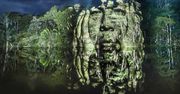 Wyświetlił twarze na ścianie lasu. Niesamowity pokaz