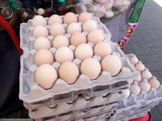 Ceny jaj w dół. Branża: m.in. ze względu na upały