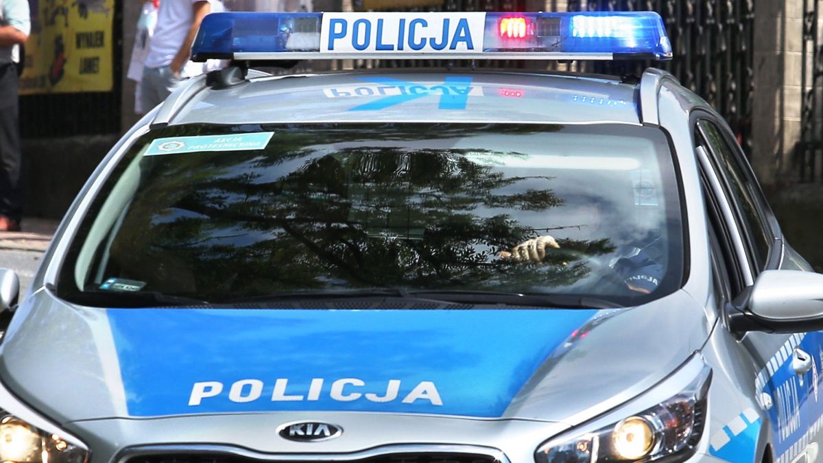  policja