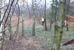 Grzybiarz zgubił się w lesie. Postawił na nogi policję