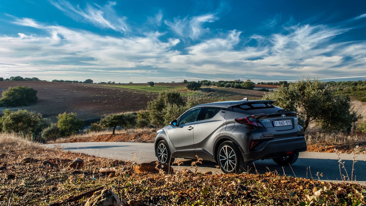 Zdjęcie ilustracyjne do artykułu