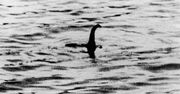 Zagadka potwora z Loch Ness. Naukowcy mają odpowiedź