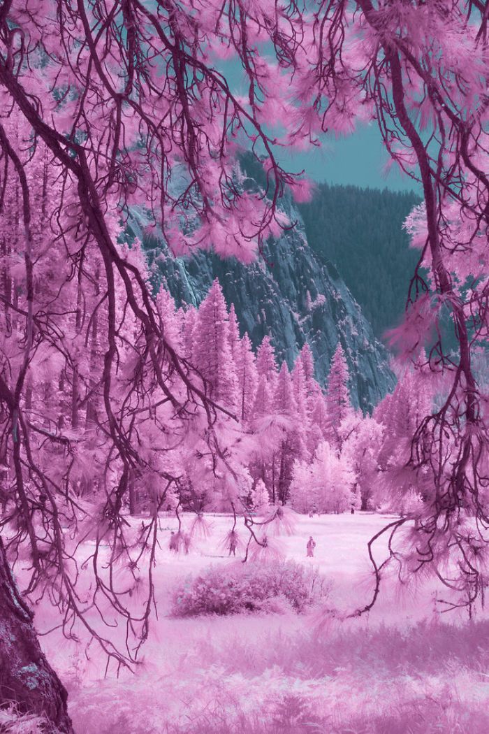 Park narodowy Yosemite wygląda w podczerwieni jak cukierkowa kraina bajek 3