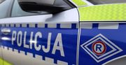 Waśniów: Przewozili martwego dzika w bagażniku