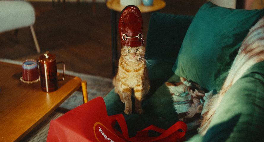 Kotka Cat bohaterką kampanii TK Maxx