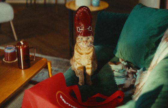 Kotka Cat bohaterką kampanii TK Maxx