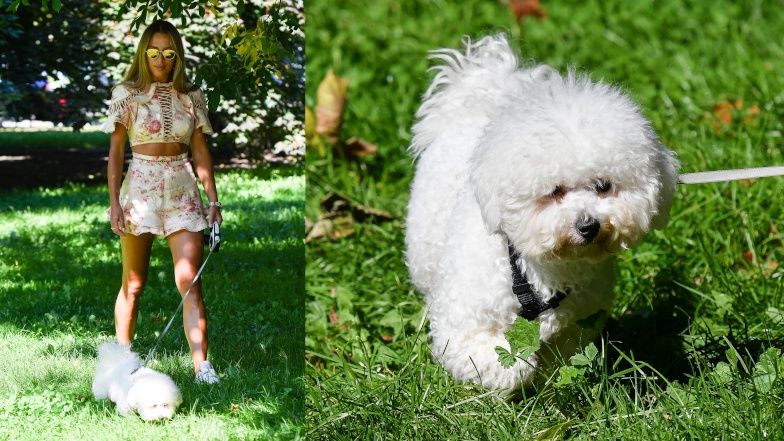 Ewa Chodakowska na obiedzie z mężem i pieskiem