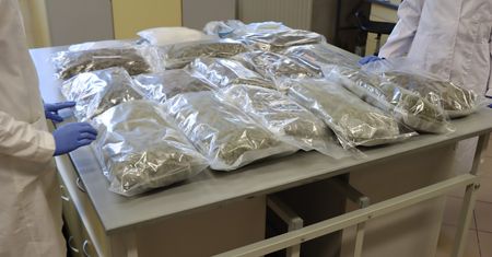 Policja przejęła 20 kg narkotyków. Czarnorynkowa wartość to około 2 mln zł
