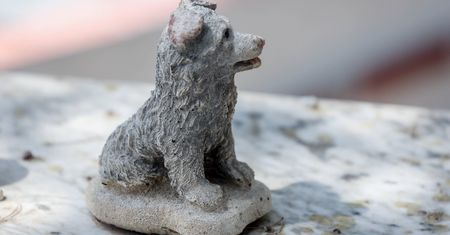 Pierwszy taki obiekt za Odrą. Zainteresowanie przerosło oczekiwania