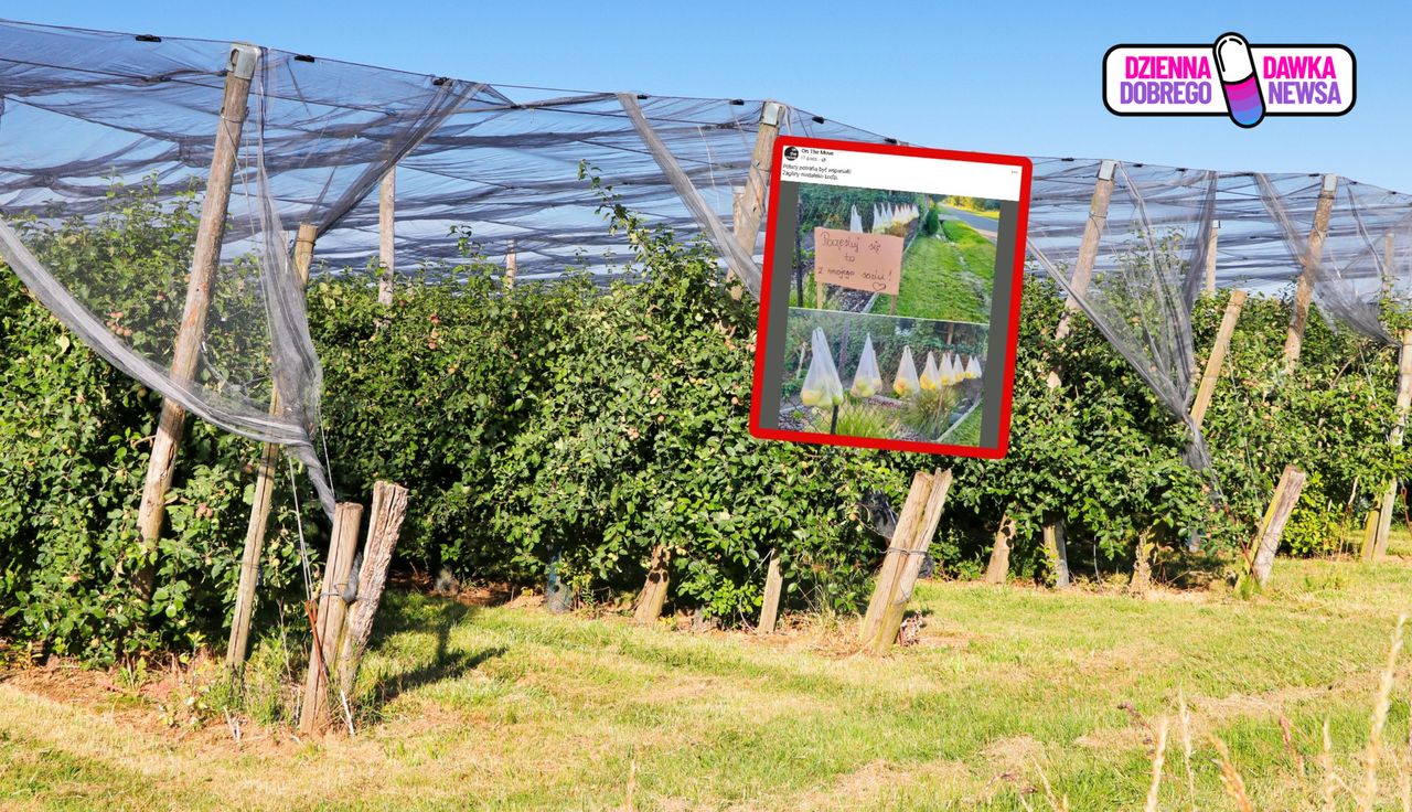 Sadownik wywiesił karteczkę. Niosą się ujęcia spod Łodzi