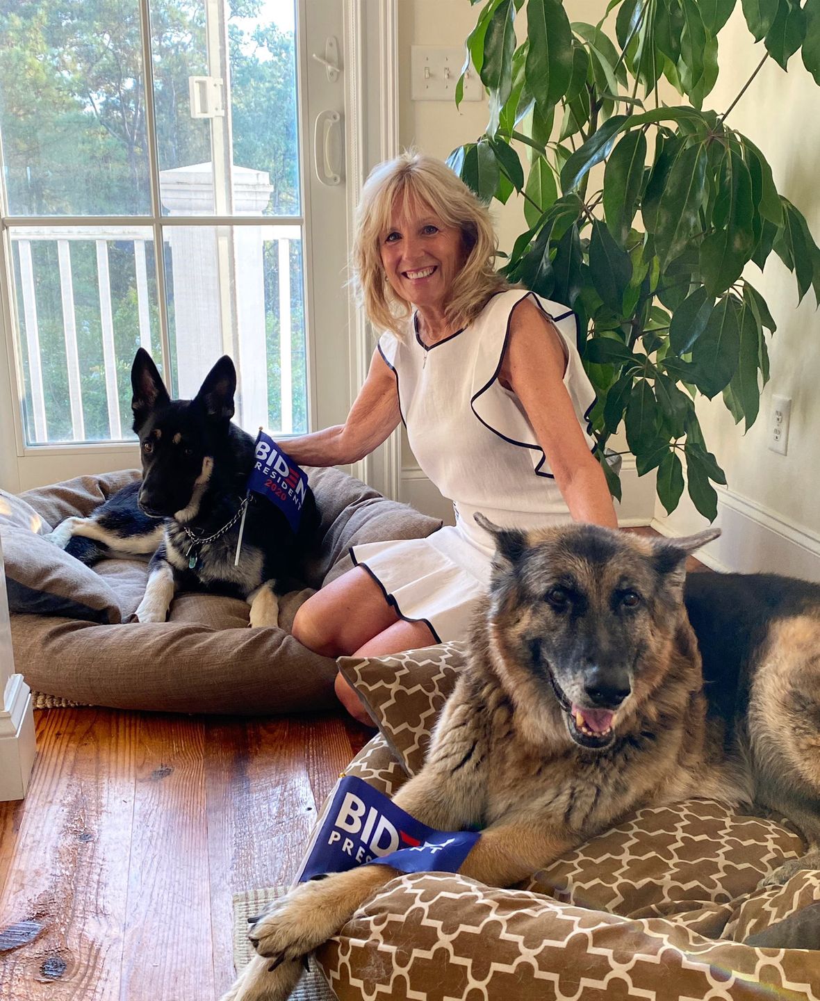 Jill Biden z pupilami
