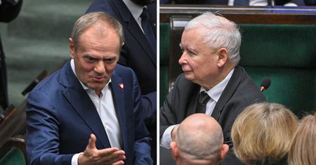 Sondaż WP. Wzrost poparcia dla PiS. Donald Tusk ma powód do zmartwień?