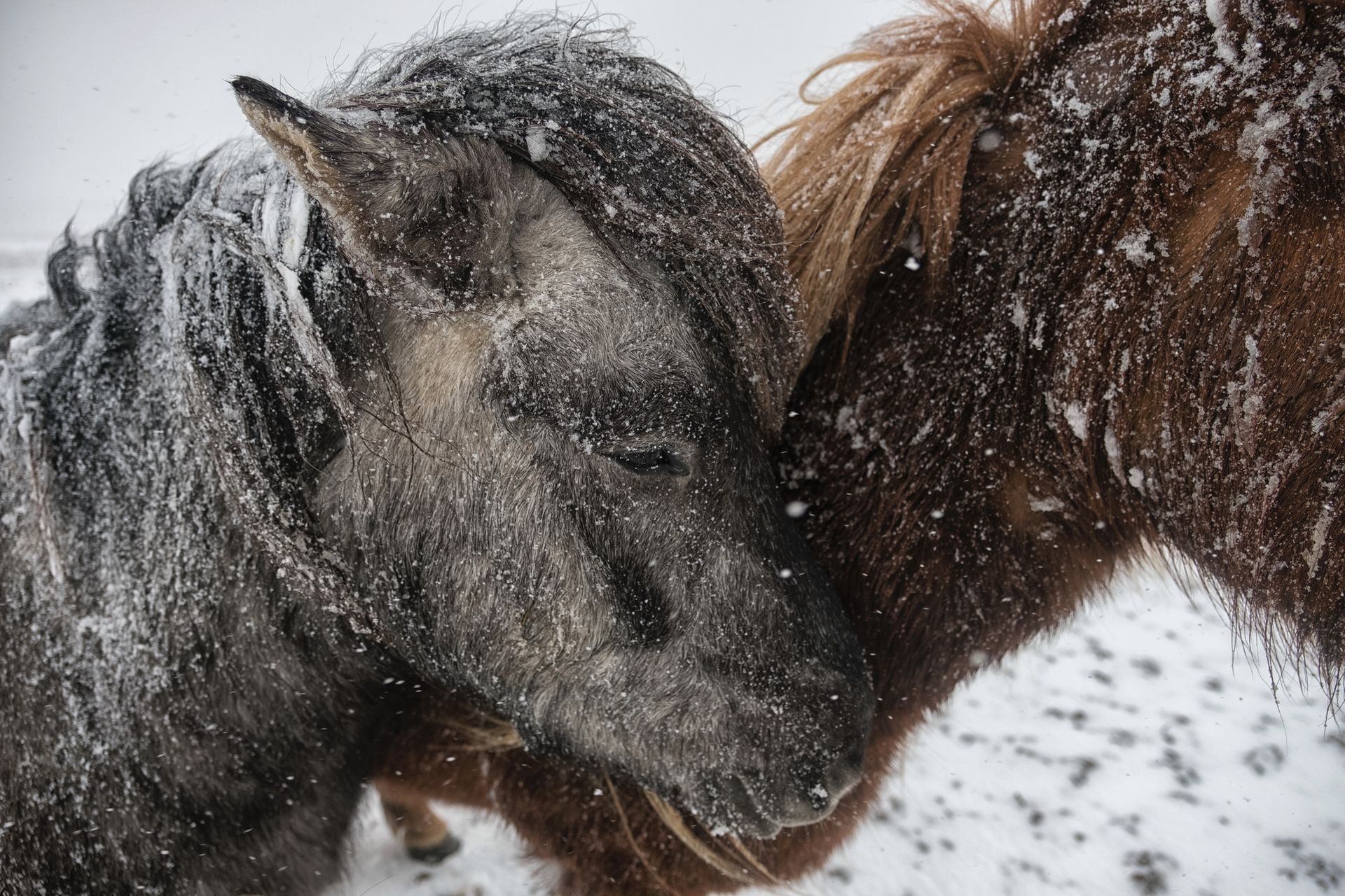 Islandia, ja oraz pojedynek flagowców Fujifilm: X-Pro2 kontra X-T2 27