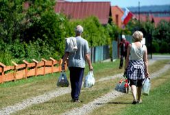 Ogródki działkowe przeżywają renesans. Wśród działkowców coraz więcej młodych