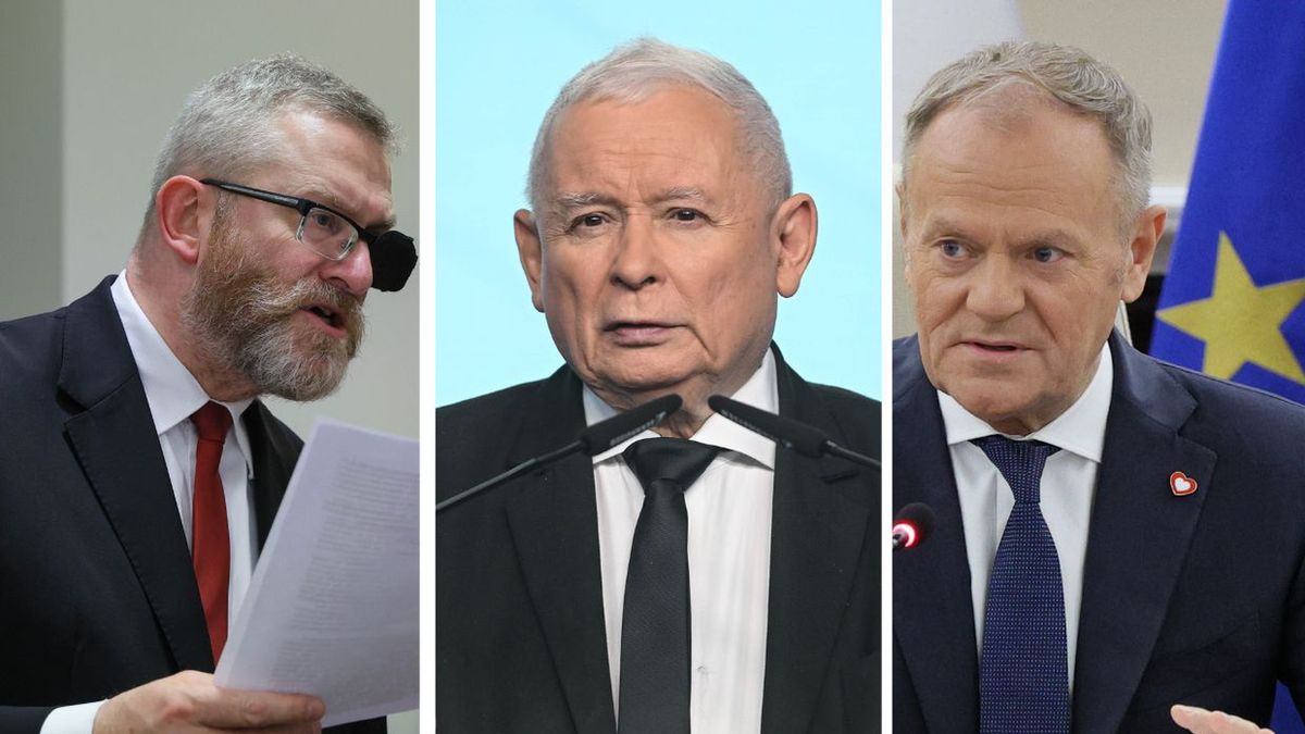 Grzegorz Braun, Jarosław Kaczyński i Donald Tusk