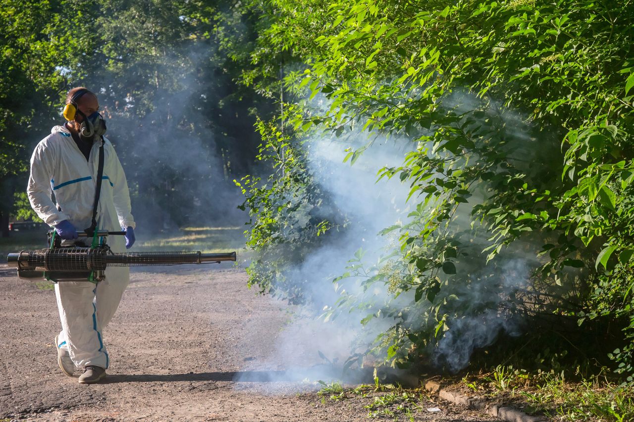 Warszawa. Nie będzie odkomarzania w stolicy