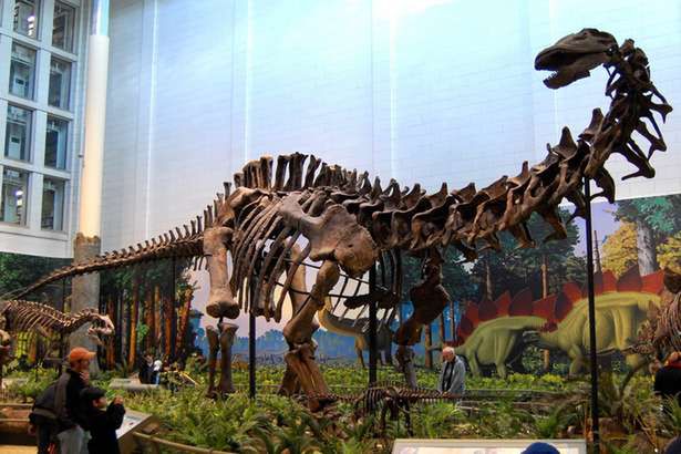 Dlaczego naprawdę wyginęły dinozaury? Zaskakująca hipoteza brytyjskich naukowców
