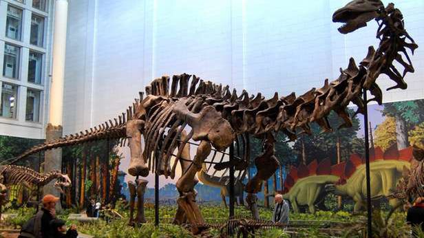 Dlaczego naprawdę wyginęły dinozaury? Zaskakująca hipoteza brytyjskich naukowców 1