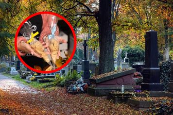 W Krakowie pod cmentarzem sprzedają trupi miodek. Jedzą go nawet dzieci