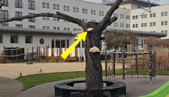 Szedł obok placu zabaw. Nagle taki widok. "Prawdziwy hit sezonu"