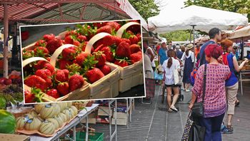 Kupili greckie truskawki. Oto co było pod spodem