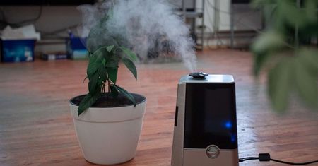 Jak nawilżyć powietrze w pokoju? Nawilżacz powietrza to tylko jedna z opcji