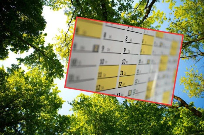 Korzystna zmiana dla inwestujących w usługi rolnicze i leśne. Nowy termin rozliczeń z PROW