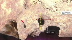 Niezwykłe znalezisko. Przebadali szkielety sprzed 1500 lat