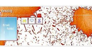 Nikiu.com twoją wirtualną wizytówką 1