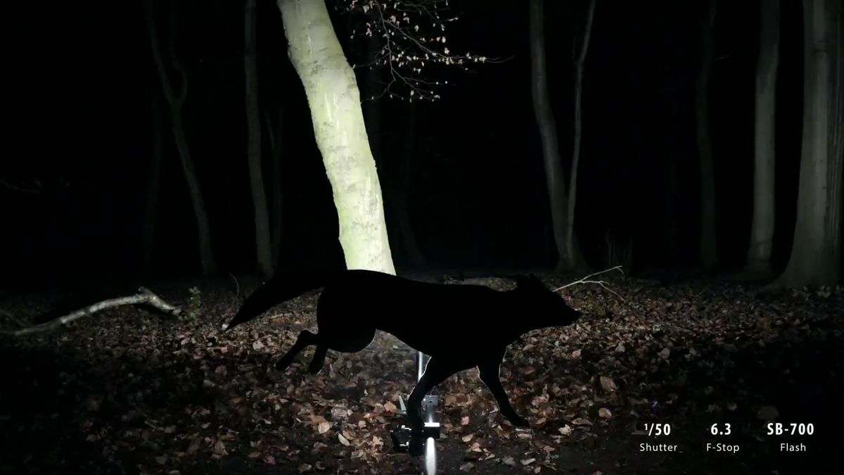 Animacja poklatkowa pokazująca możliwości Nikona D810 1