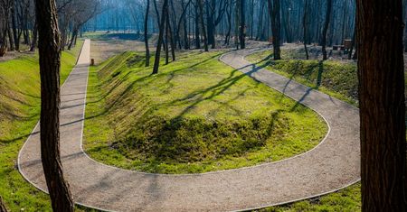 Sosnowiec. Za ponad 4 miliony miasto zyska efektowny park