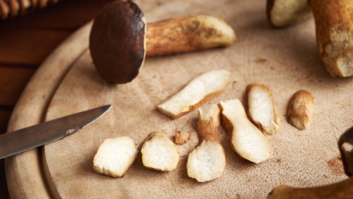 Jak poprawnie suszyć grzyby?