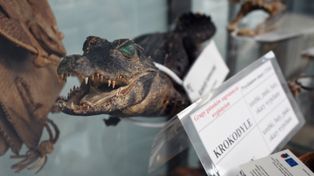 Lecisz na wakacje za granicą? Tego nie wolno zabrać do bagażu