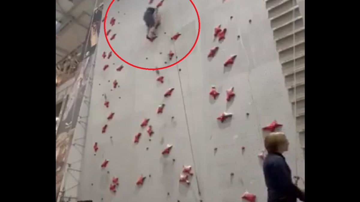 Mężczyzna odpadł od ścianki. Jest filmik. 