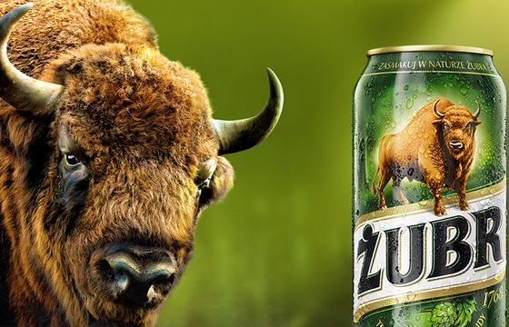 PZL przejmuje od G7 obsługę ATL-ową piwa Żubr