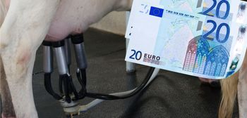 Ceny mleka. Czy w listopadzie będą najniższe od miesięcy?