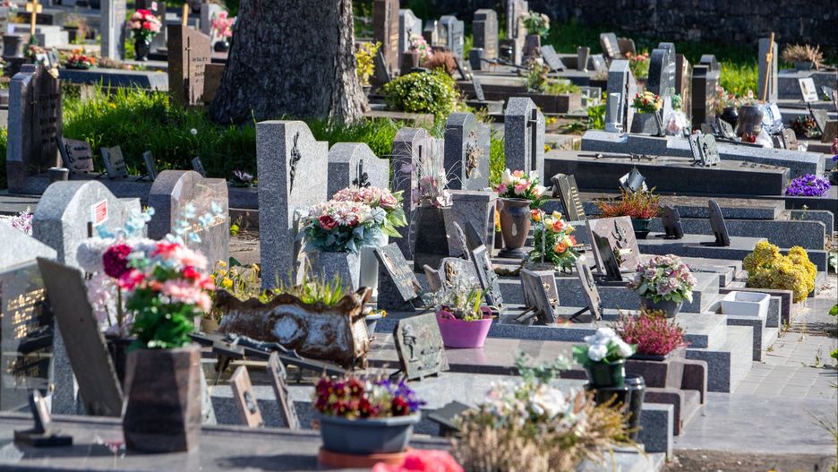 Jak wygląda i ile kosztuje ekologiczny pochówek? Oto stawki