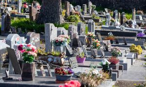 Nowy trend pochówków w Polsce. Ta usługa kosztuje niecałe 500 zł