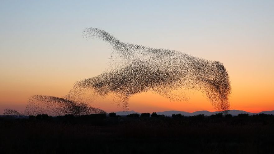 Fotograf zrobił niesamowite zdjęcia - nie zdawał sobie z tego sprawy, dopóki nie zobaczył ich w domu 5