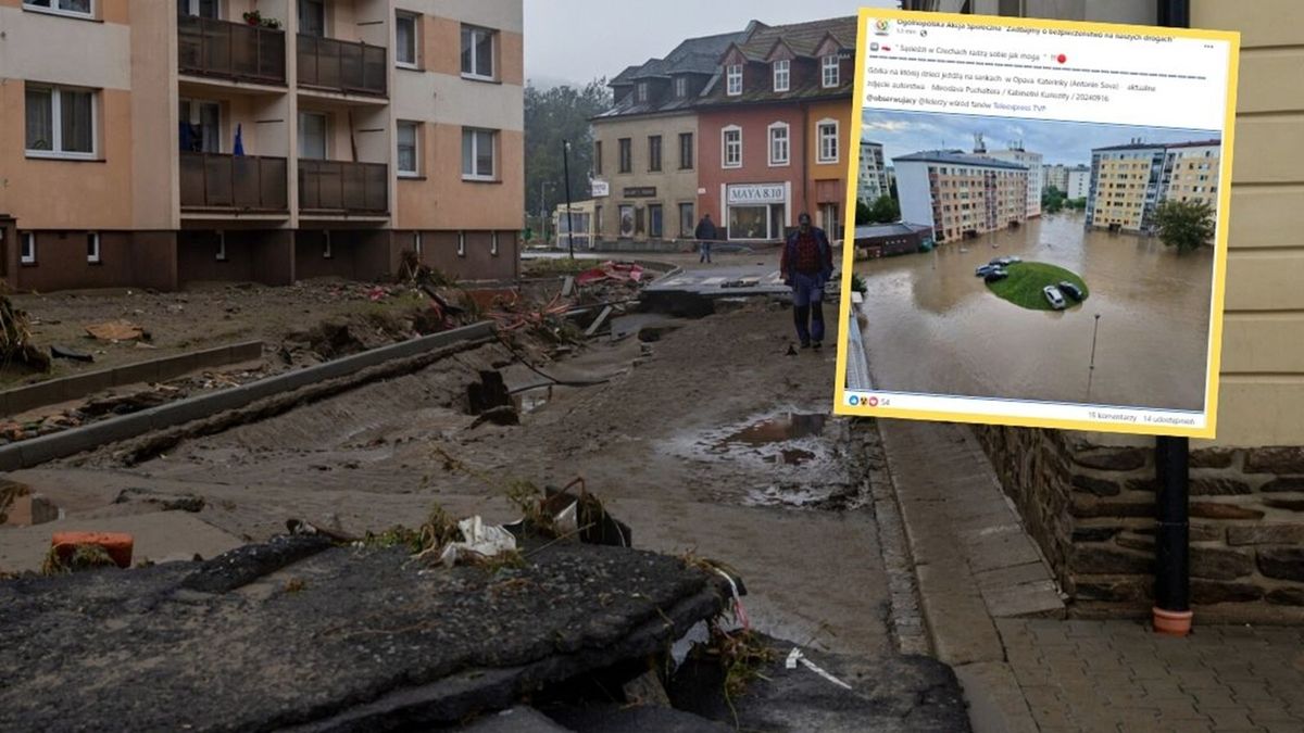 Zdjęcie z Czech obiegło sieć