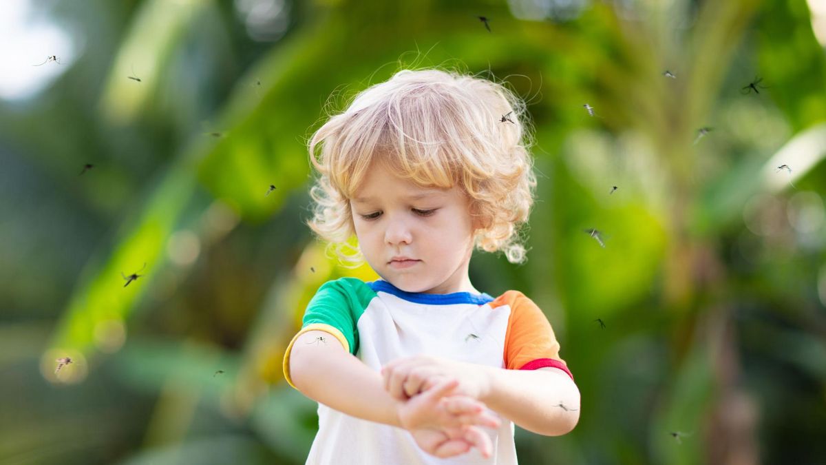Co na komary dla niemowląt?