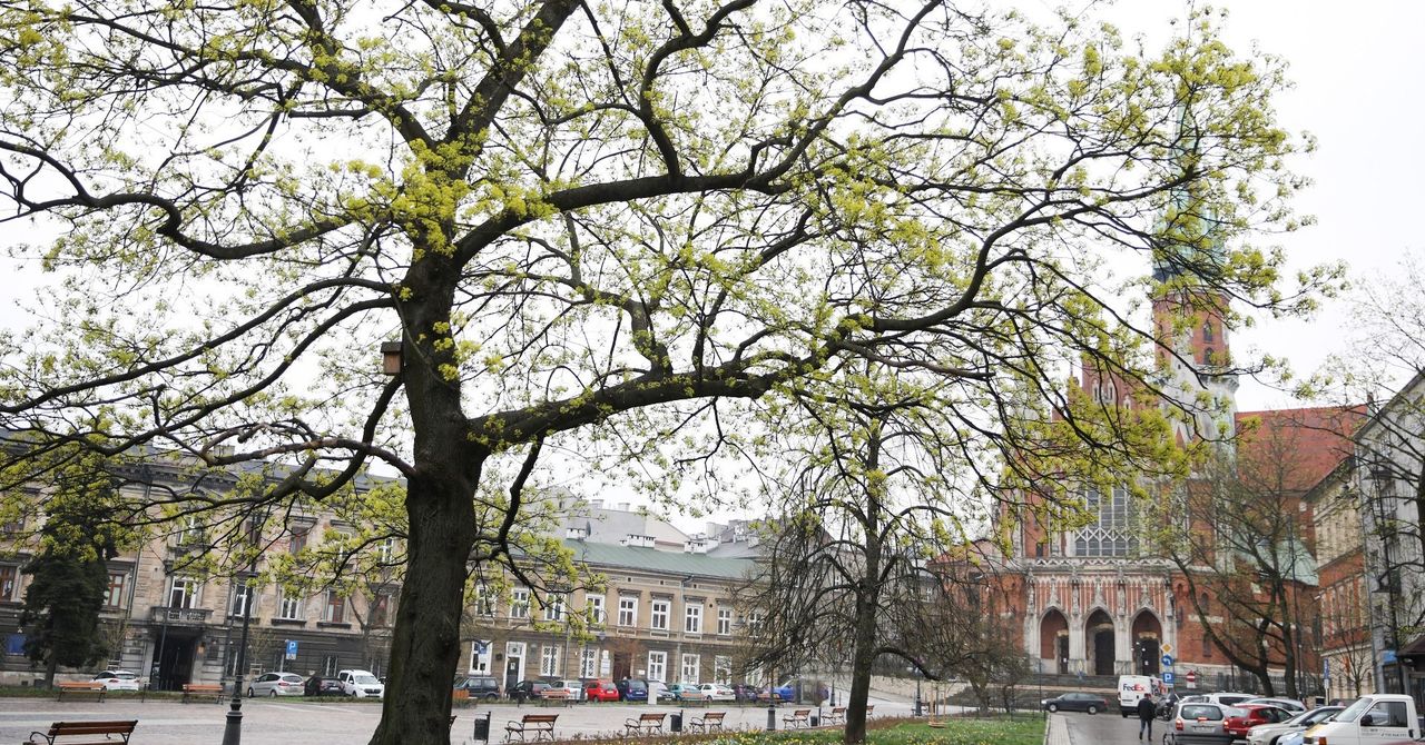 Kraków: Teatr KTO szykuje kolejne plenerowe widowisko. Będzie bardzo krakowskie