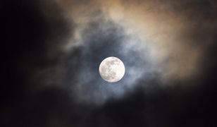 Pełnia Bobrzego Księżyca. Niezwykłe zjawisko jeszcze w listopadzie