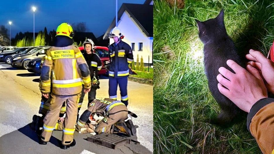 Strażacy z Gorzyc uratowali koto. Fot. Tarnobrzeg 112 - Ratownictwo Powiatu Tarnobrzeskiego