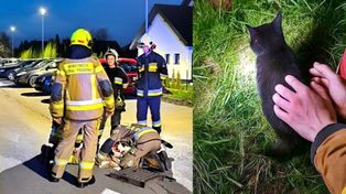 Gorzyce: Dzięki dzieciom i strażakom z OSP kot odzyskał wolność