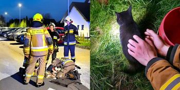 Gorzyce: Dzięki dzieciom i strażakom z OSP kot odzyskał wolność