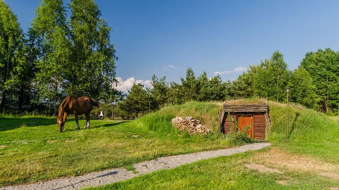 Ziemianki wyglądają niesamowicie