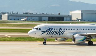 Wypadek na lotnisku na Alasce. Samolot uderzył w niedźwiedzia